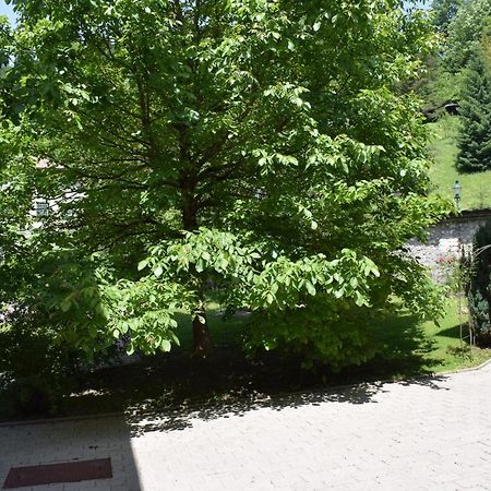 Fruehstueckspension Josefinum Bad Aussee Kültér fotó